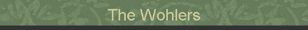 The Wohlers